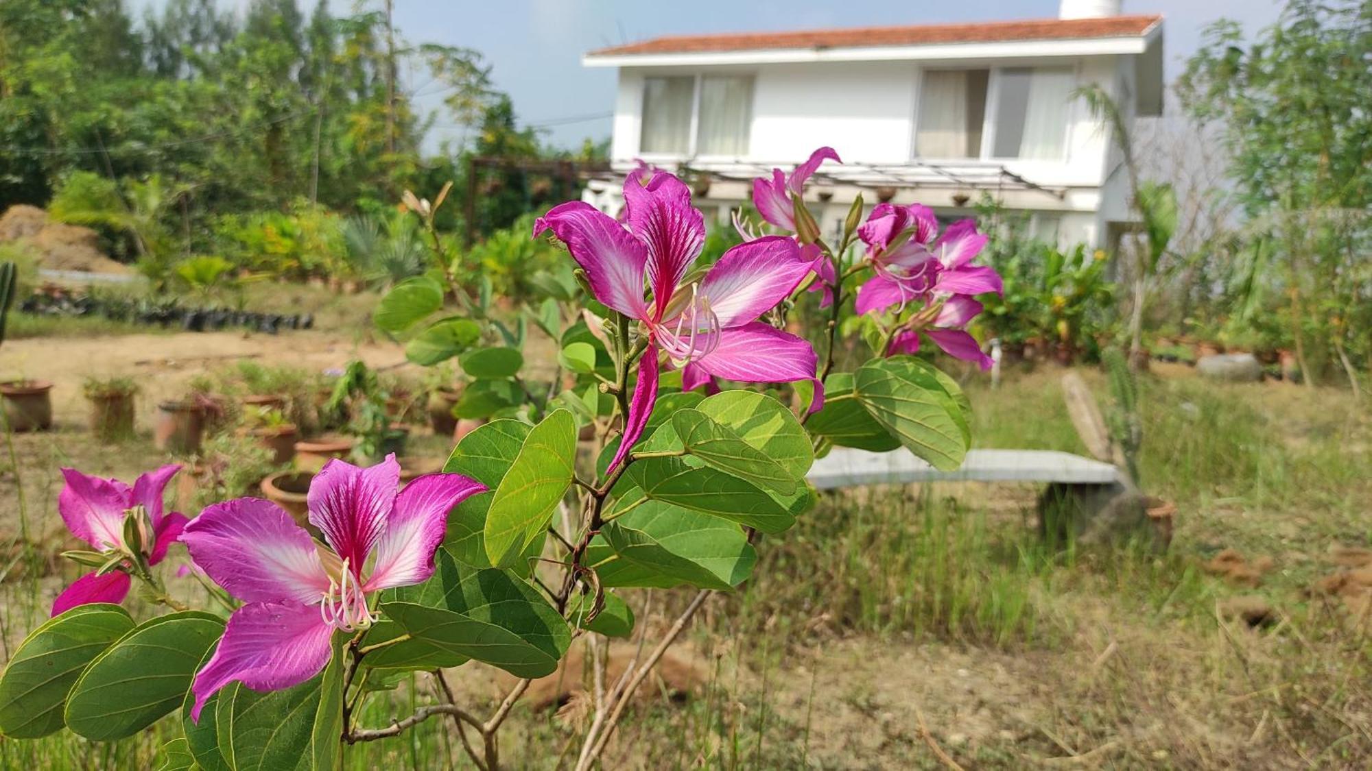 Vaksana Farm Stay Gudraippattu Zewnętrze zdjęcie