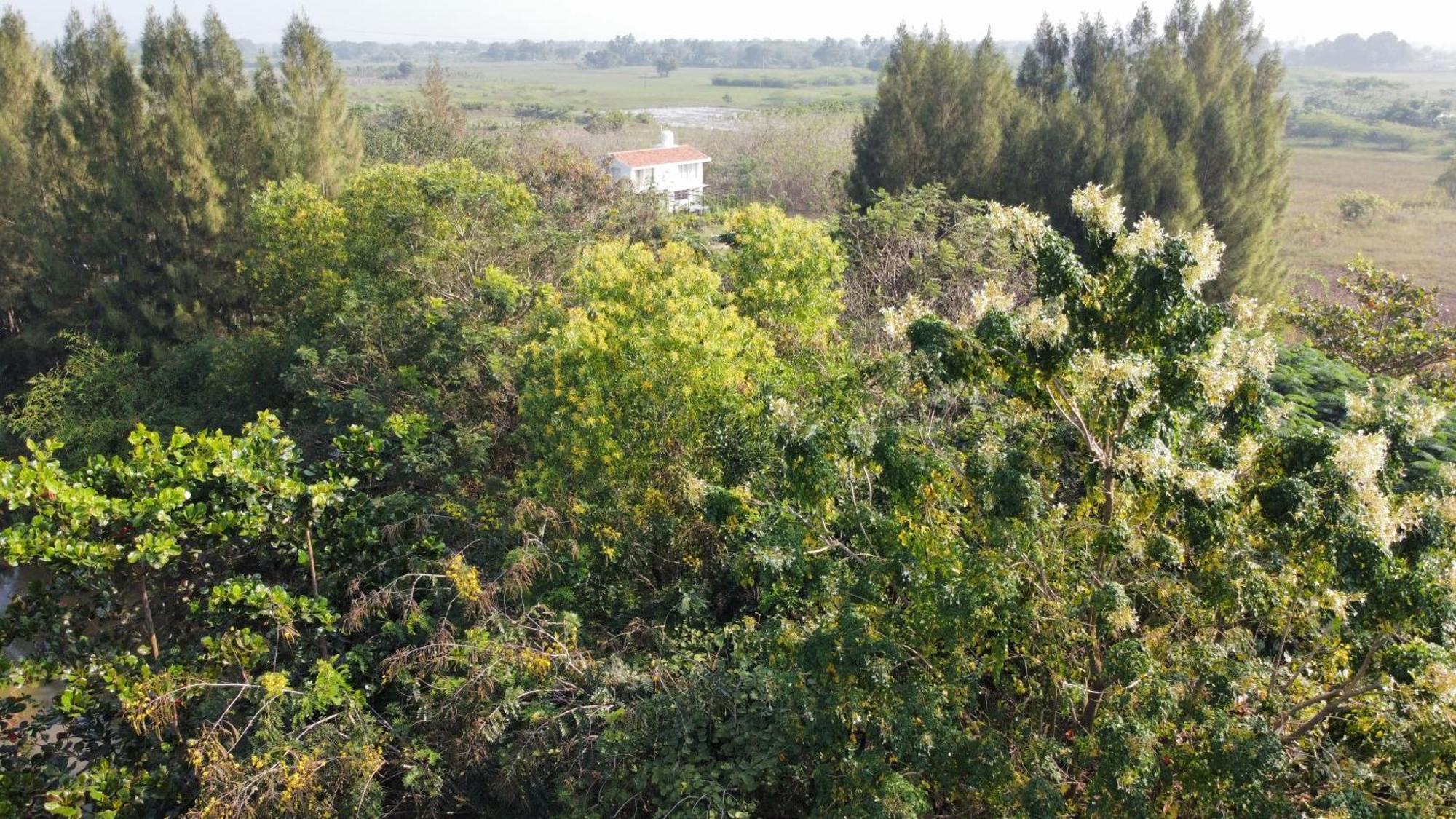 Vaksana Farm Stay Gudraippattu Zewnętrze zdjęcie