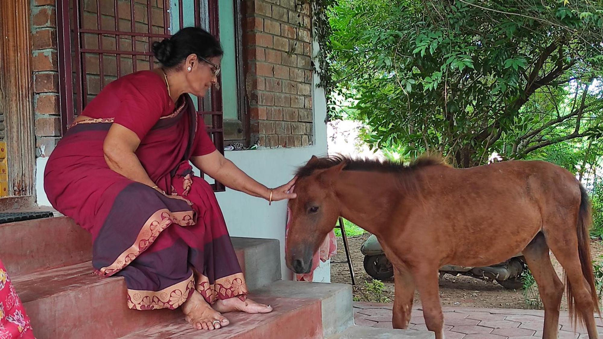 Vaksana Farm Stay Gudraippattu Zewnętrze zdjęcie