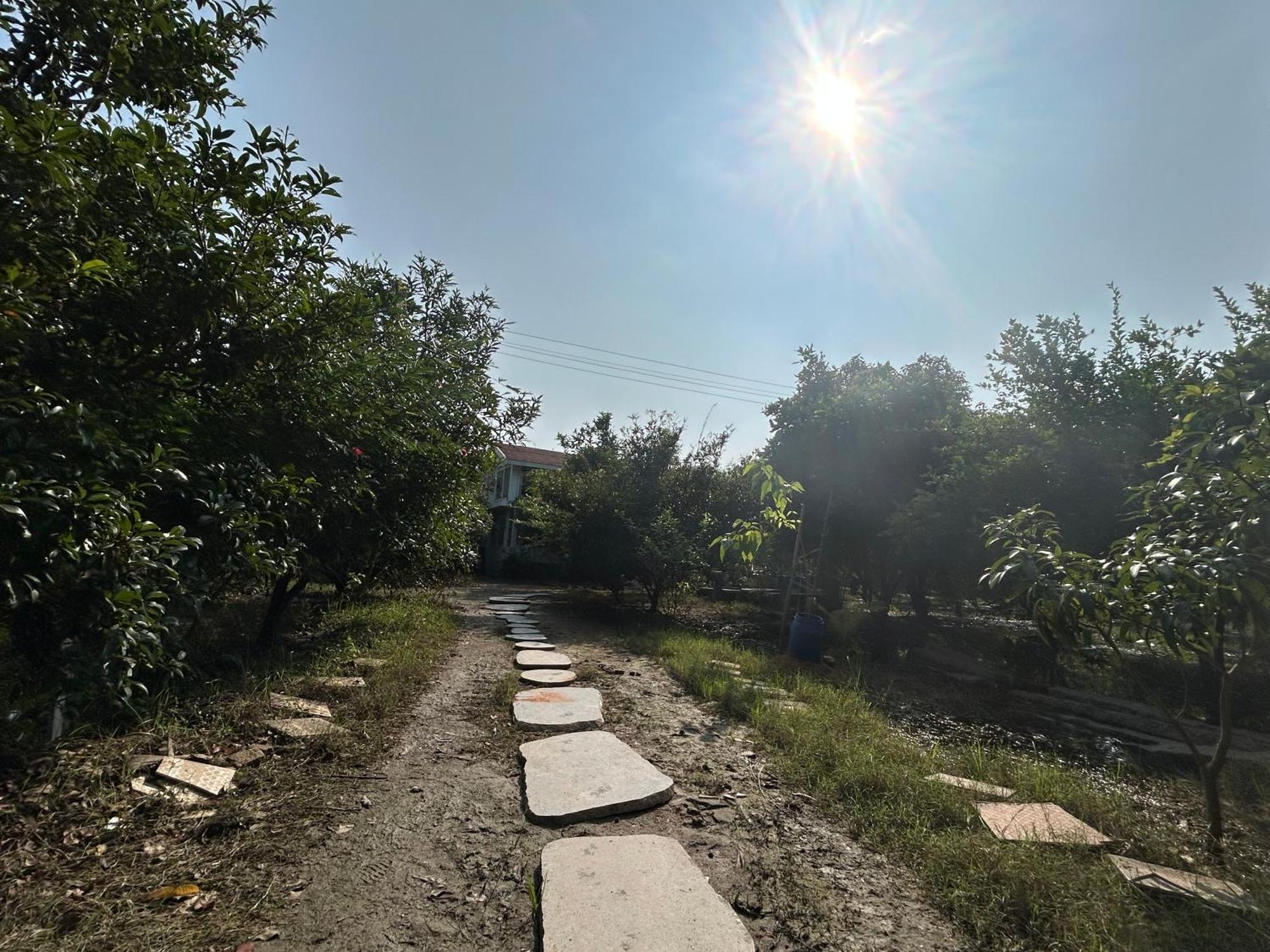 Vaksana Farm Stay Gudraippattu Zewnętrze zdjęcie